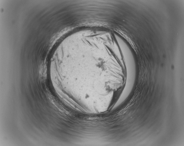 X0000085750584200704131713