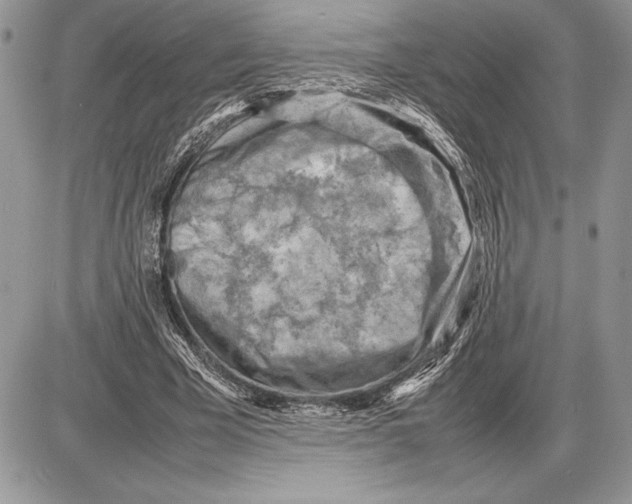 X0000085750585200704131713