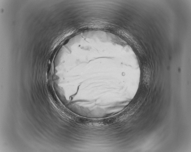 X0000085750586200704131713