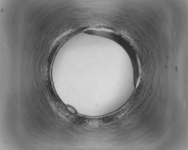 X0000085750587200704131713