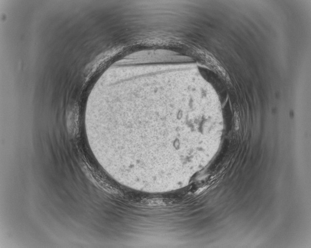 X0000085750588200704131713