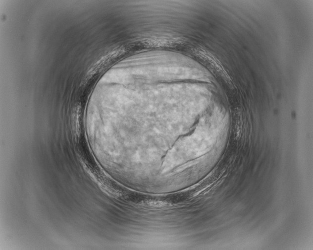 X0000085750590200704131713