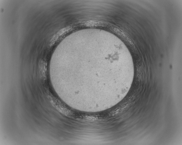 X0000085750592200704131713