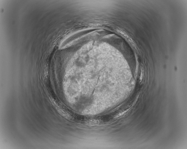 X0000085750593200704131713