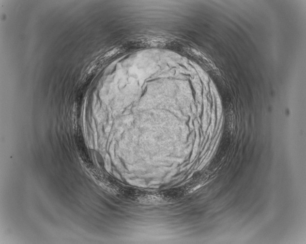 X0000085750594200704131713