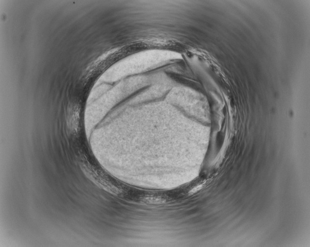 X0000085750596200704131713