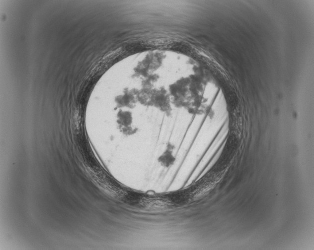 X0000085750597200704131713