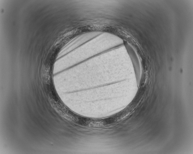 X0000085750599200704131713