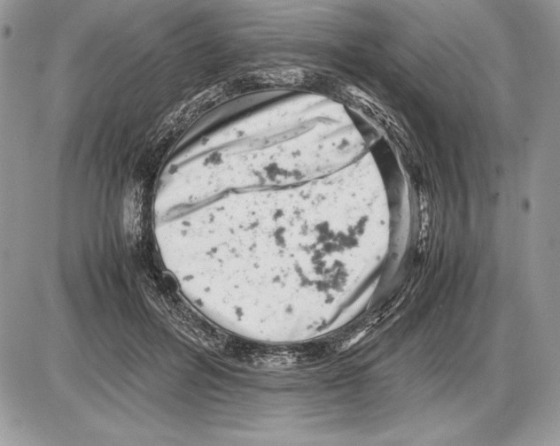 X0000085750600200704131713