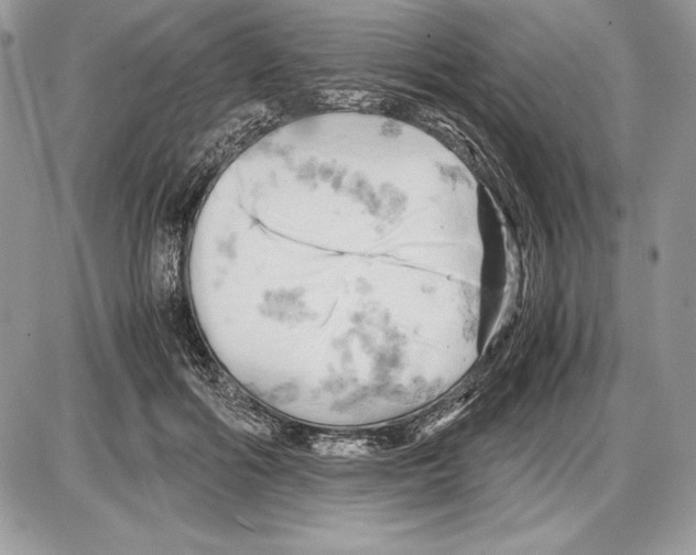 X0000085750602200704131713