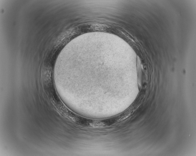 X0000085750603200704131713