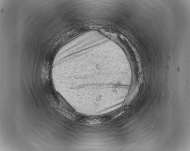 X0000085750604200704131713