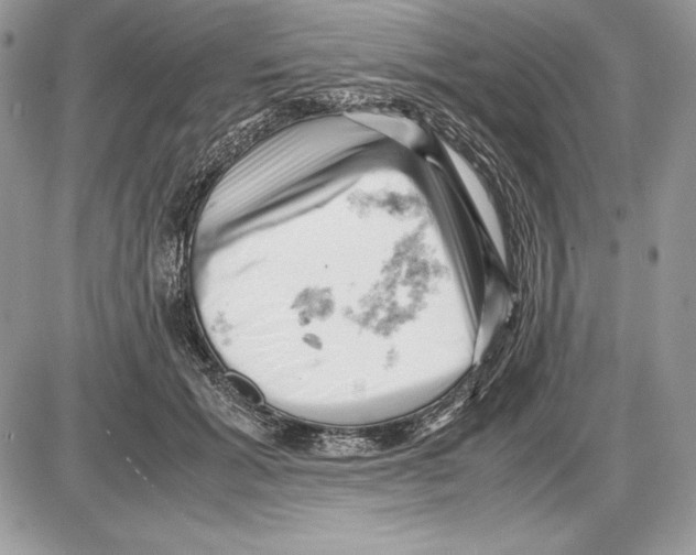 X0000085750605200704131713