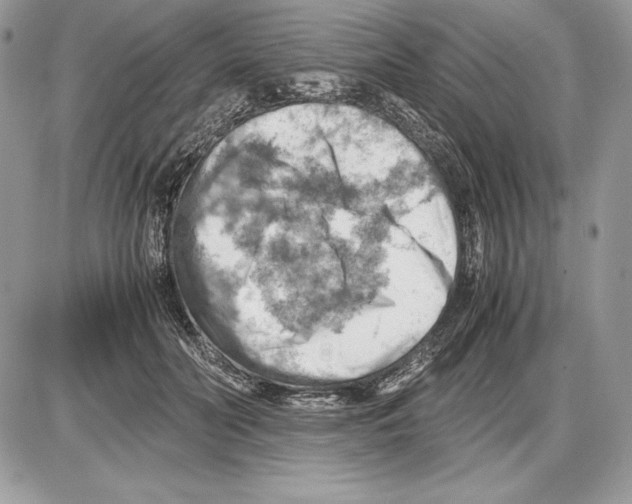 X0000085750606200704131713