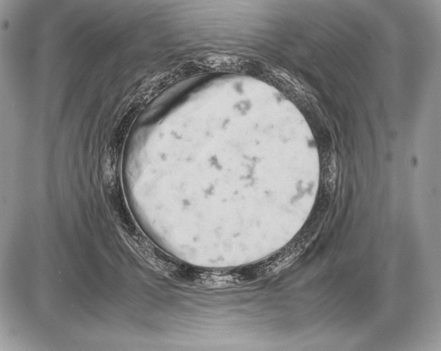 X0000085750607200704131713