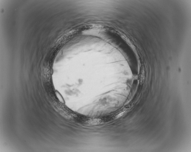 X0000085750609200704131713