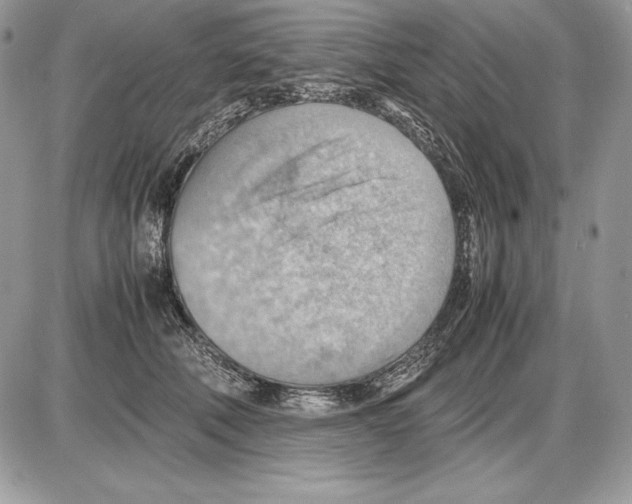 X0000085750610200704131713