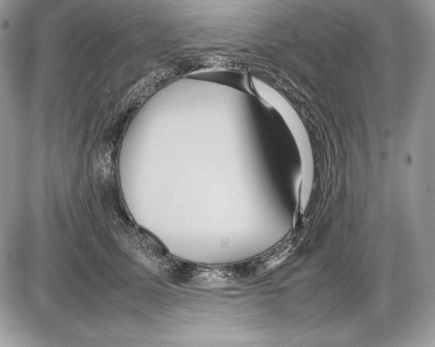 X0000085750611200704131713