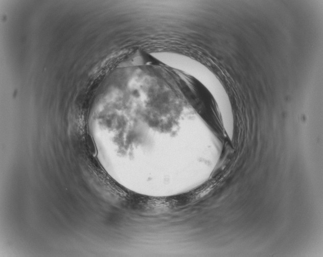 X0000085750613200704131713