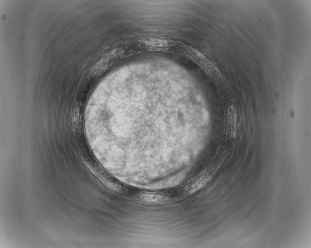 X0000085750614200704131713