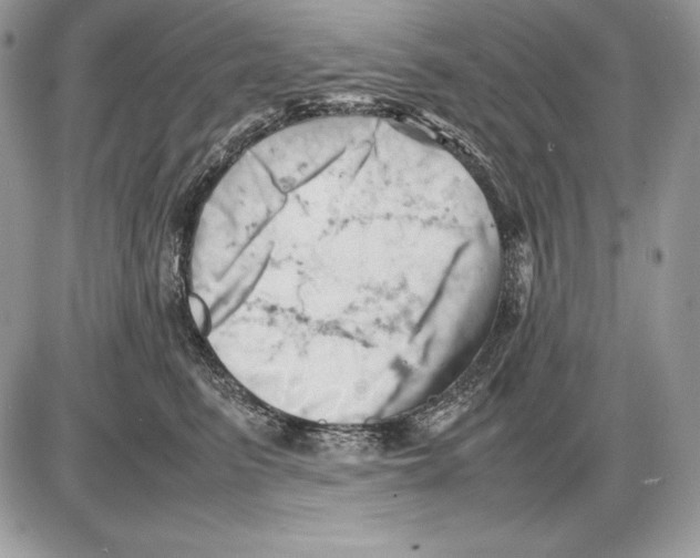 X0000085750615200704131713