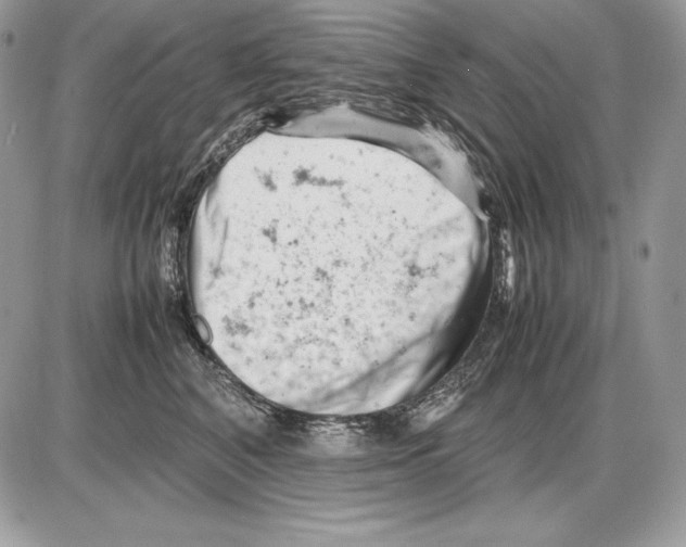 X0000085750616200704131713