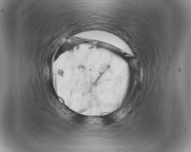 X0000085750617200704131713