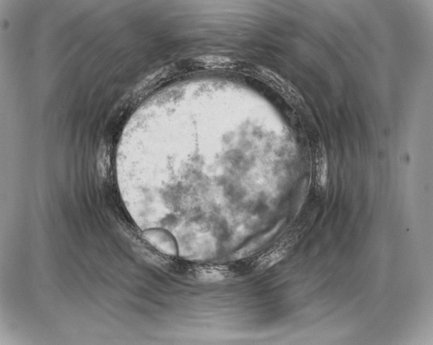 X0000085750618200704131713