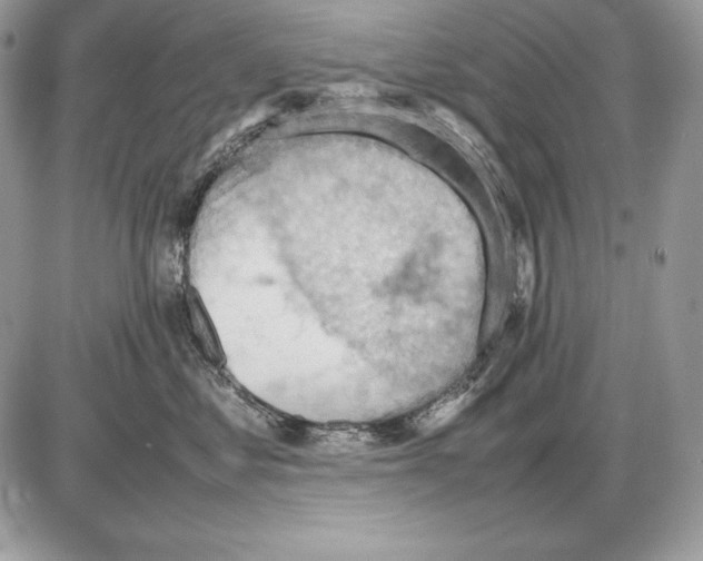 X0000085750621200704131713