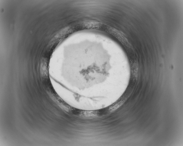 X0000085750622200704131713