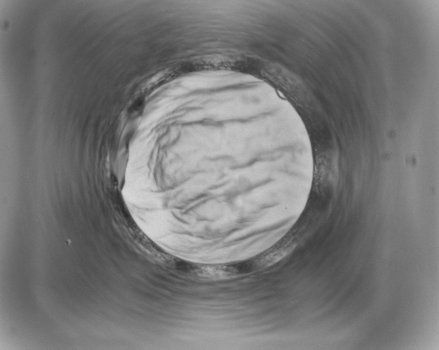 X0000085750623200704131713