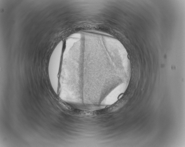 X0000085750624200704131713