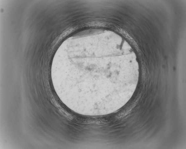 X0000085750625200704131712