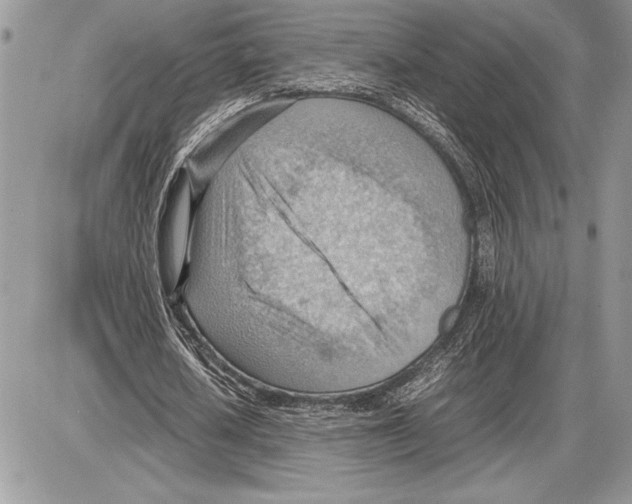 X0000085750626200704131712