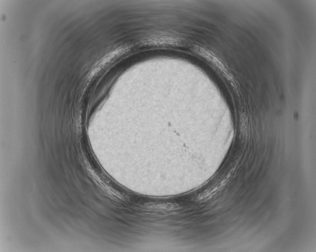 X0000085750629200704131712