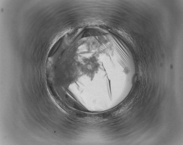 X0000085750630200704131712