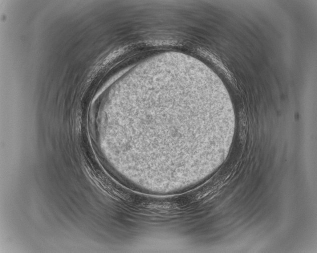 X0000085750631200704131712