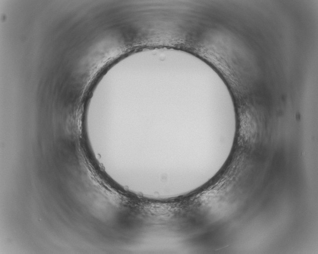 X0000085750632200704131712