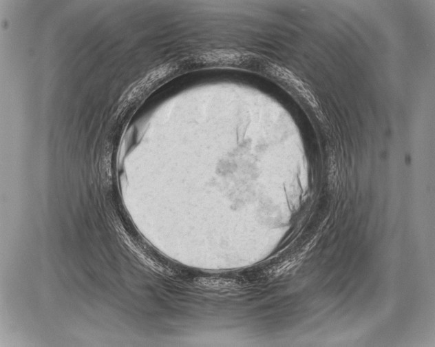 X0000085750633200704131712