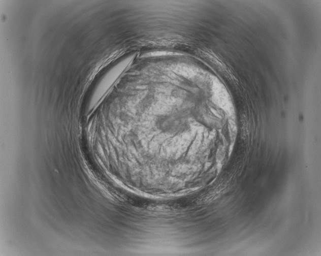 X0000085750634200704131712