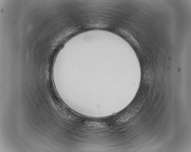 X0000085750635200704131712