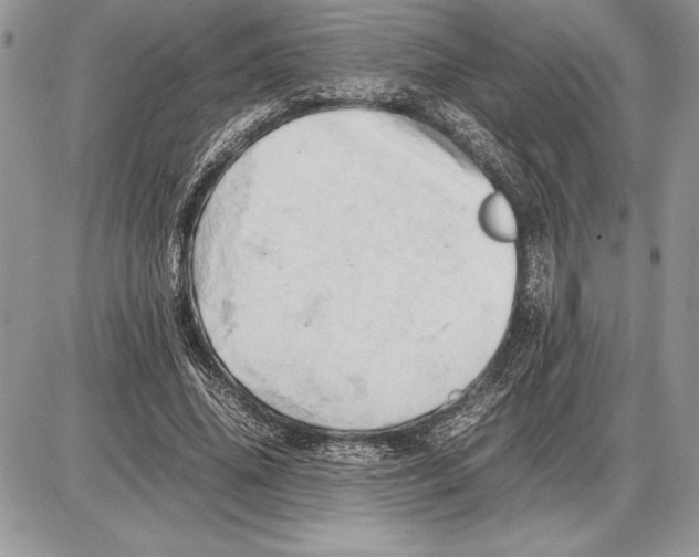 X0000085750636200704131712