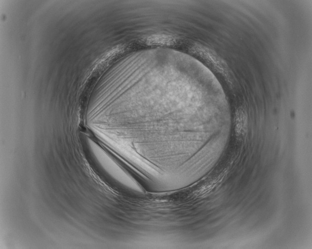 X0000085750637200704131712