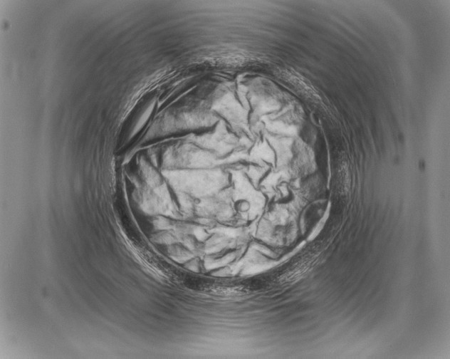 X0000085750638200704131712