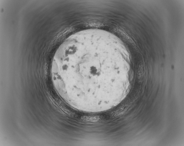 X0000085750639200704131712