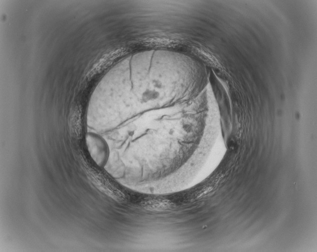 X0000085750642200704131712