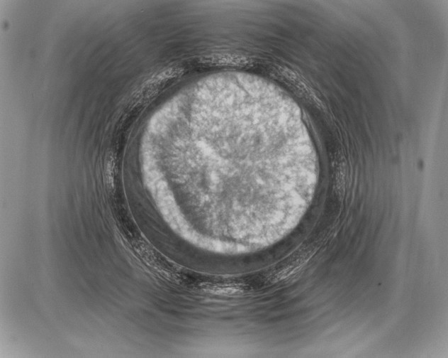 X0000085750643200704131712