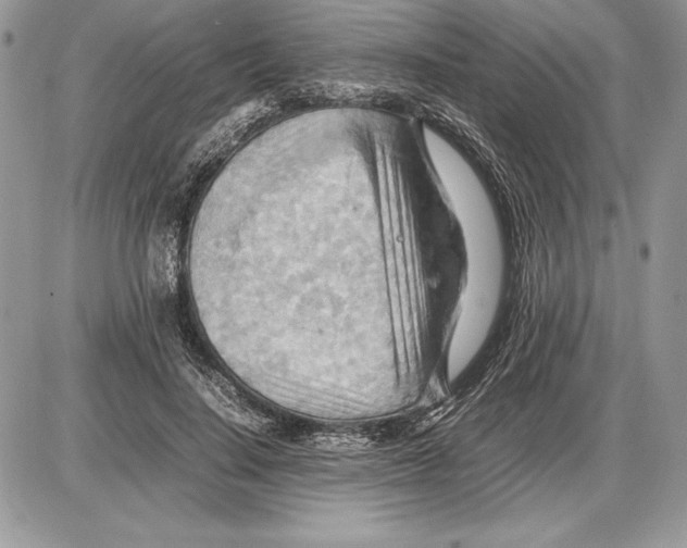 X0000085750644200704131712