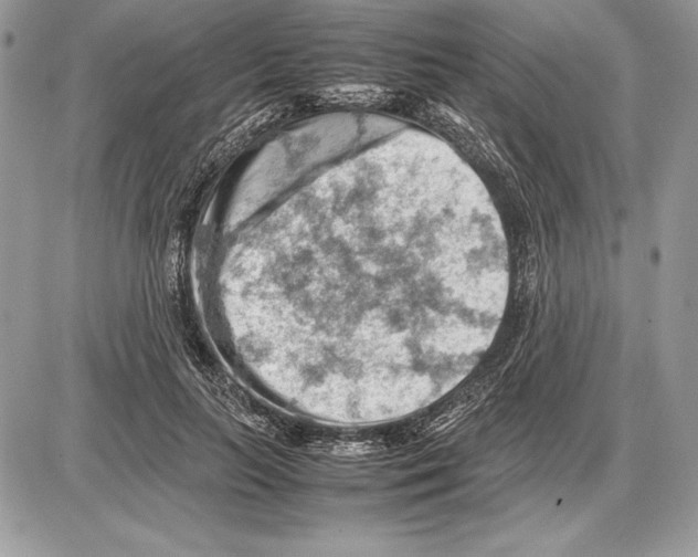 X0000085750647200704131712