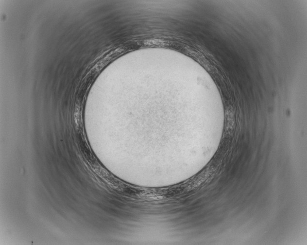 X0000085750648200704131712